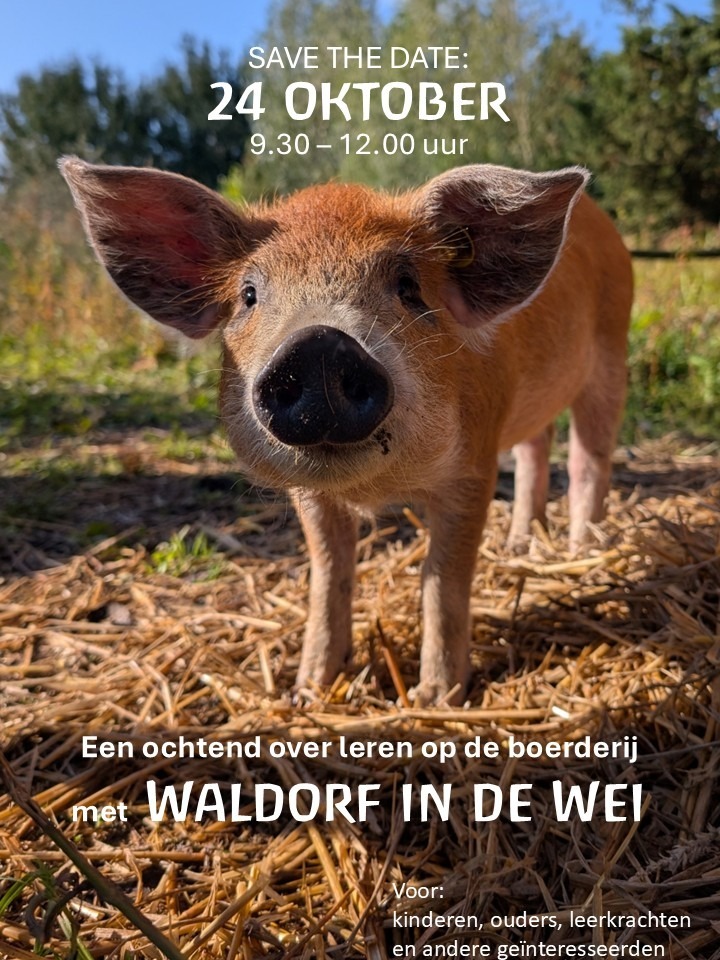 Leren op de boerderij