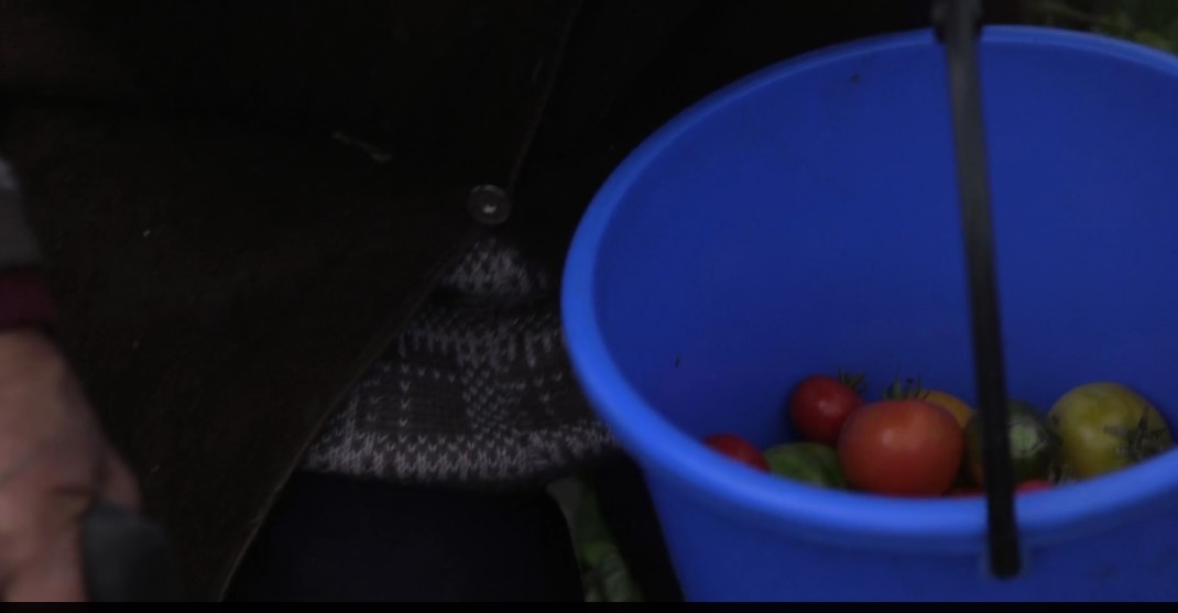 Tijd voor Tomaat