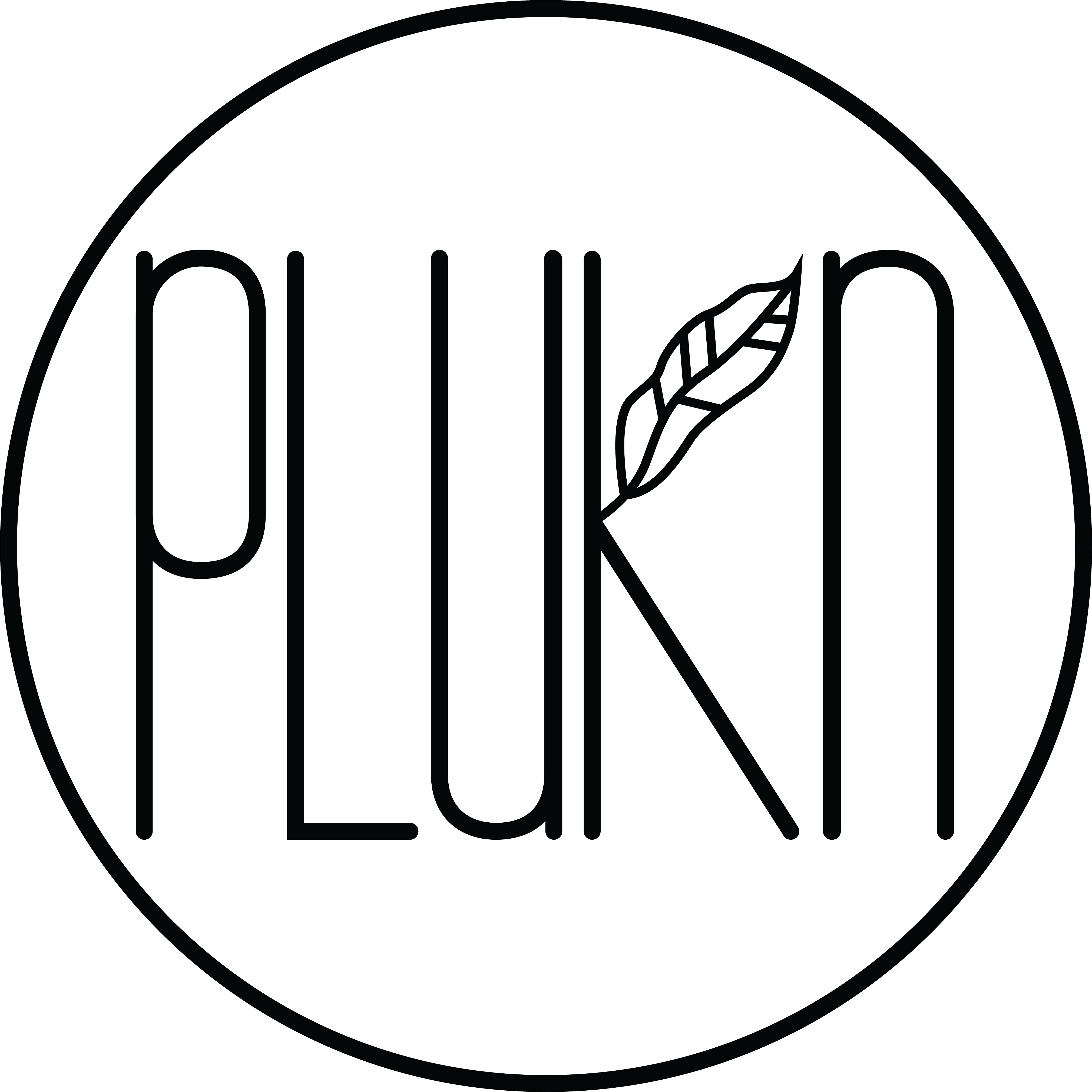 PlukN logo